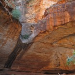 Cathedral Gorge - Purnululu National Park