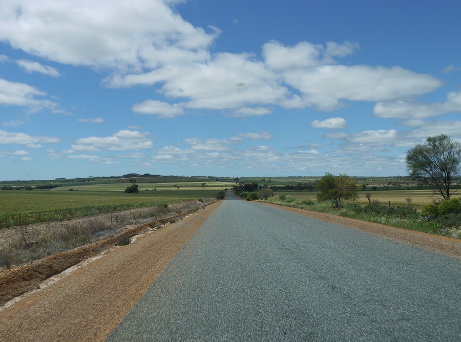 The open road in the West Australian Wheatbelt