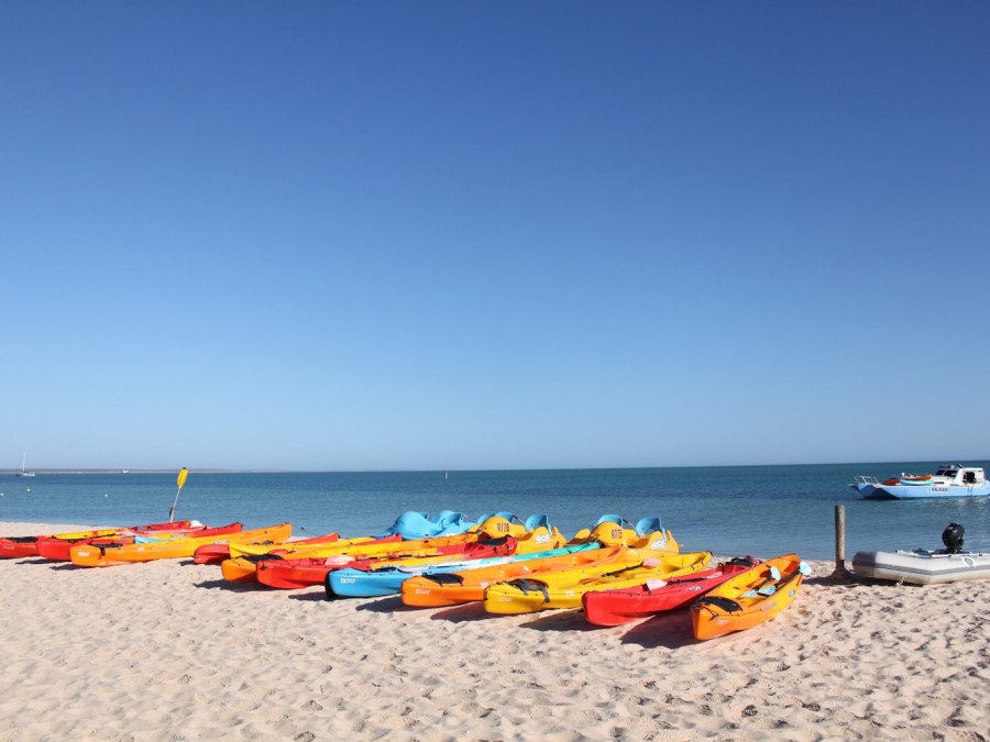 Kayaking at Dolphin Beach is a great way to see the marine wildlife