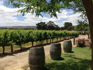 The beautiful grounds of Windy Creek Wines