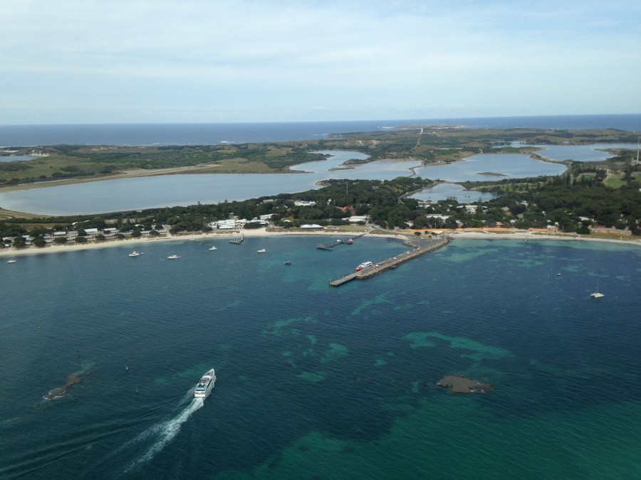 Rotto from the chopper