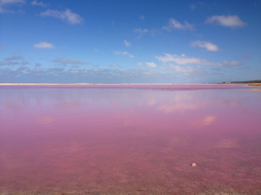 The aptly titled Pink Lake