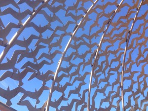 645 seagulls represent the Crew of the Sydney who tragically lost their lives