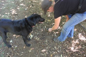 Sniffing out truffles