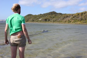 *Note to self* If you're ever involved in a Dolphin Rescue again in the future, don't roll up your shorts so high